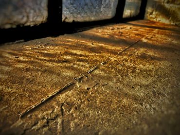 Window Series:  Dappled Light Window