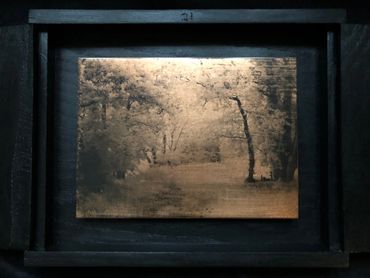 Infrared Ireland: Liquid Emulsion Print on Copper: Killorglin Woods