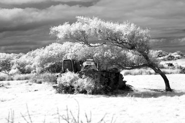 Infrared Ireland Series: Tractor