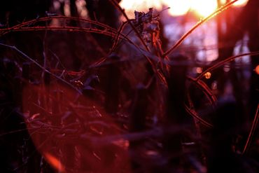 Unframed in the following sizes:                                        8.5"x11" 
13" x 19" 
17" x 2