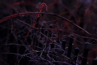 Unframed in the following sizes:
8.5"x11"    
13" x 19" 
17" x 22" 
Prices available upon request