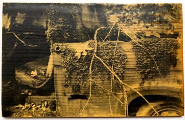 Cars & Trucks on Wood: Liquid Emulsion Print on Pine:  Truck 3 (F100): Branch