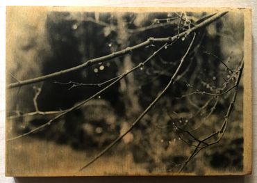 Cars & Trucks Series: Raindrop Branch: Liquid Emulsion Print on Plywood: Currently Unframed