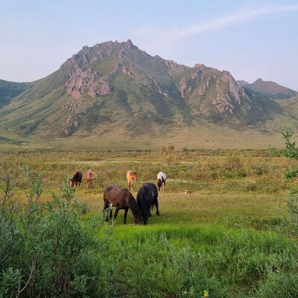 Ogilvie Mountains.
Horseback tours Ogilvie Mountains Yukon Canada. 
Tombstone Mountains.