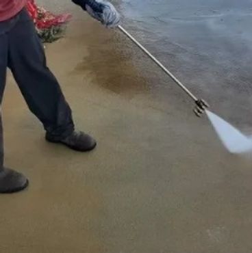 Pressure Washing Driveway.