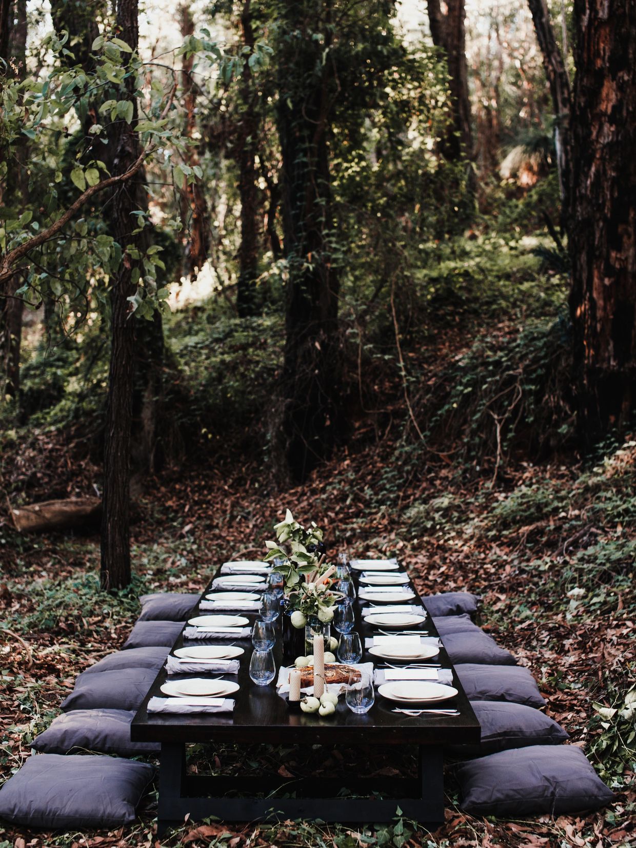 Dining Table Set Up in a Forest