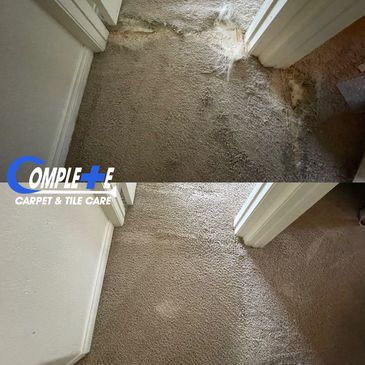 Repairing Pet Damaged Carpets in Transition to Hallway. 