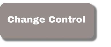 Project Change Management and Control