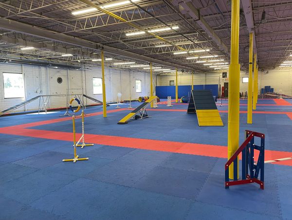 Paws 4 Fun Dog Training and Agility, CPDT-KA Certified and AKC Sanctioned