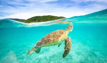 Travel Guide Okinawa Japan