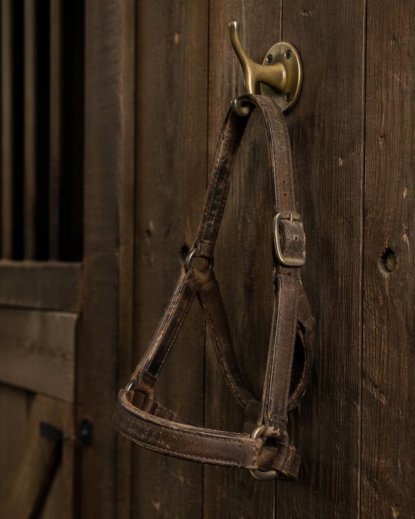 A worn leather horse halter hanging on a wooden wall hook.
