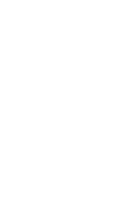 CEYLON TEA BUSH