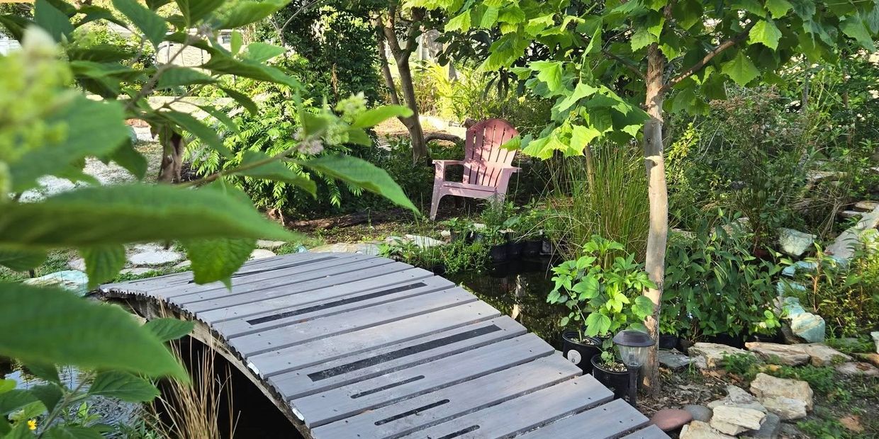 Sit amongst healing plants sipping tonics, teas or coffee. Tables, chairs & hammocks await you.