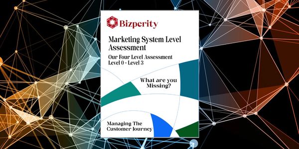 Marketing System Level Assessment