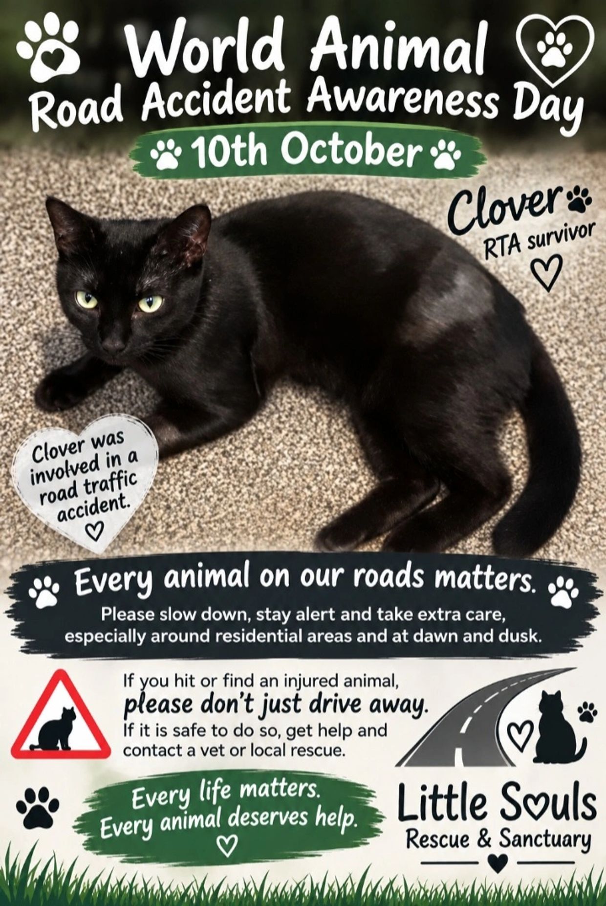 Awareness poster for World Animal Road Accident Awareness Day on October 10th featuring a black cat named Clover.