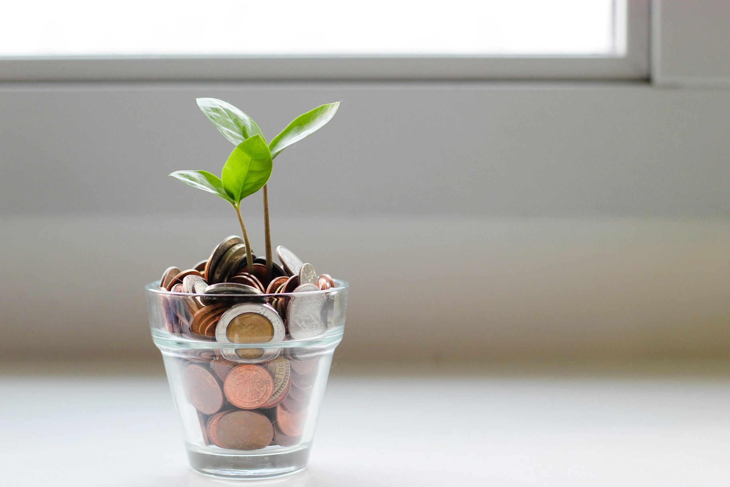 Plant growing from coins in a glass container.