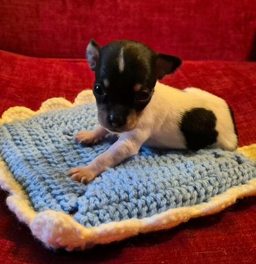 Male $1500