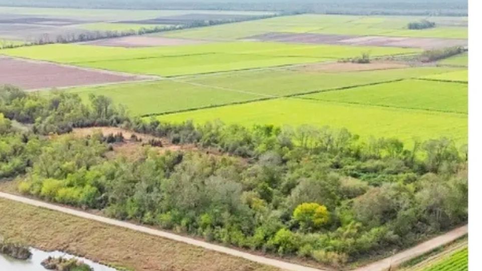 Aerial view of farmland with green fields and a wooded patch.