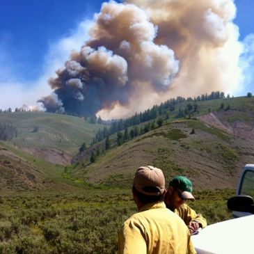 Firefighters observe a large wildfire spreading over a forested hillside.