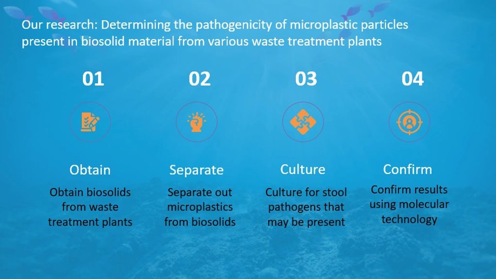 Microplastic Pollution Research
