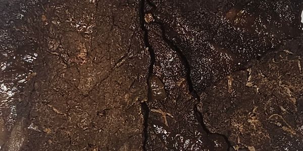 Close-up of dark, textured cracked surface.