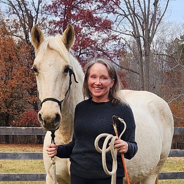 Eponicity Transformational Equine Supported coaching and mentorship.