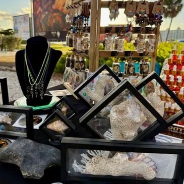 Outdoor display of jewelry and decorative coral pieces in glass frames.