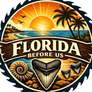 Vintage-style Florida sunset with fossils and palm trees.