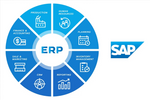 SAP ERP ecosystem