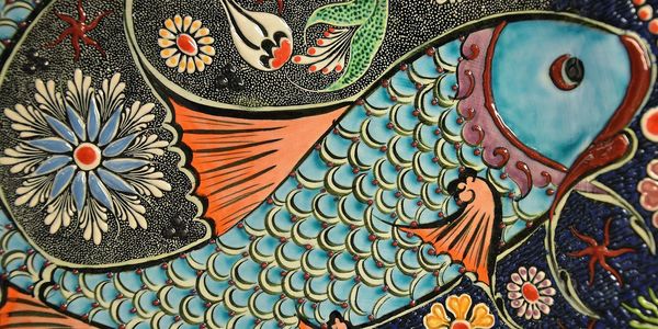 Japanese coy fish