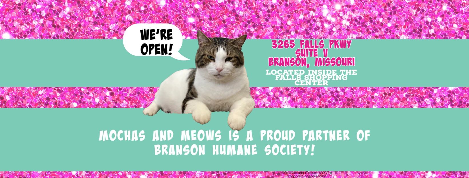 Mission Meow Cat Adoptions  Kitten Adoptions Near Me - Serving