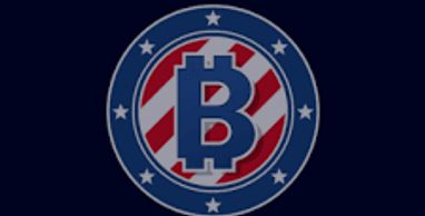 Bitcoin symbol with American flag design and stars.