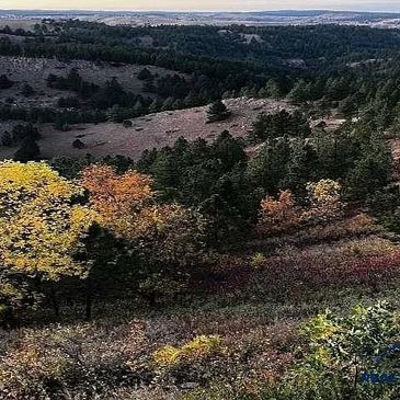 Land Brokers
Nebraska
South Dakota 
Farm For Sale
Ranch For Sale
Land For Sale