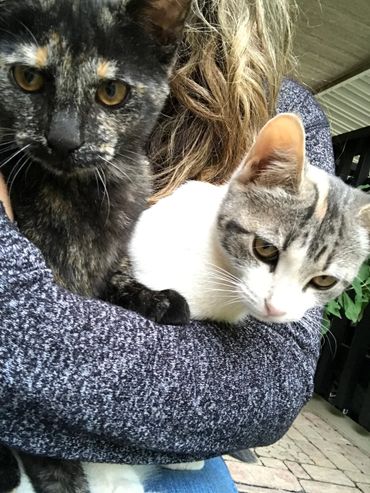 Newest addition to the family - Carlotta and Encarnacion