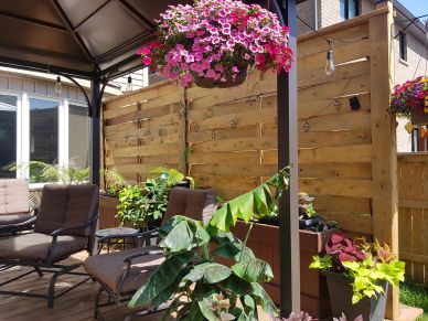 Cozy outdoor patio with plants and hanging flowers.
