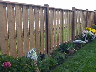 Wooden fence with plants and flowers along the base.