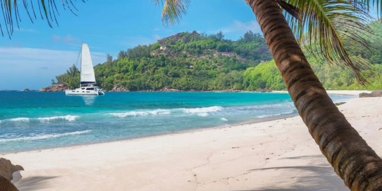 Tropical beach photo with turquoise water, white sand, palm trees, sailboat, natural tanning oil bra