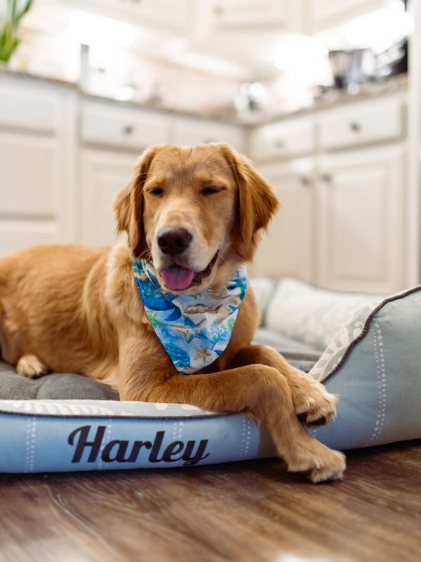 J’adore pet beds golden retriever laying custom dog embroidered name personalized fabric washable