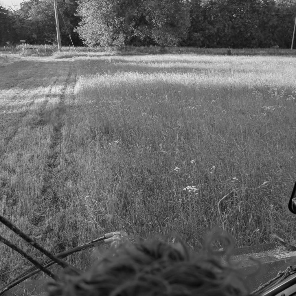 View of a grassy field with tire tracks and trees in the background.
