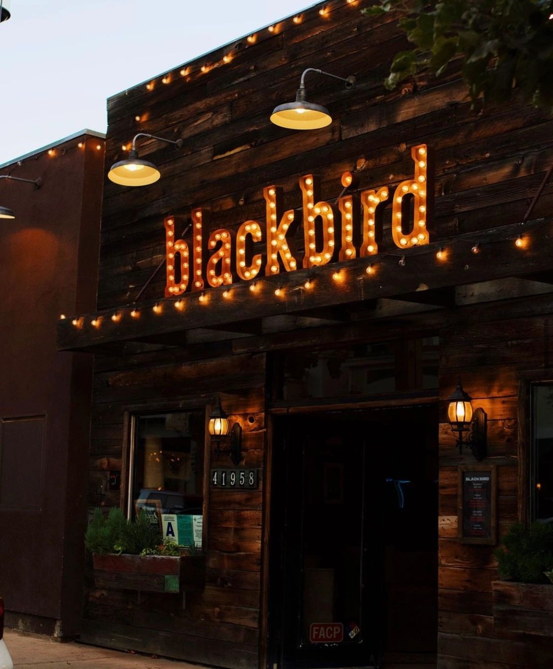 Blackbird Tavern