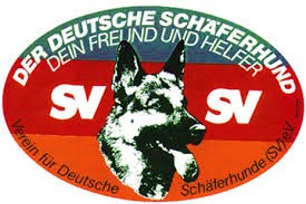 German shepherd, German shepherd Ohio, German shepherd puppy, german shepherd puppies ,gsd,  