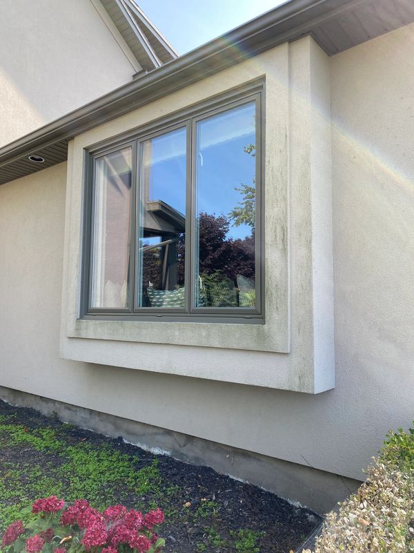 Mould growing on stucco