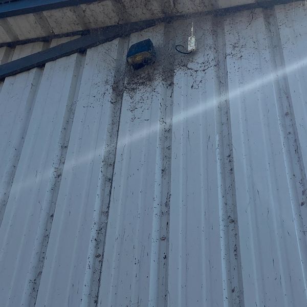 Cobwebs around light fixture