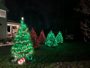 Christmas trees lit up with green and red lights in a backyard at night.
