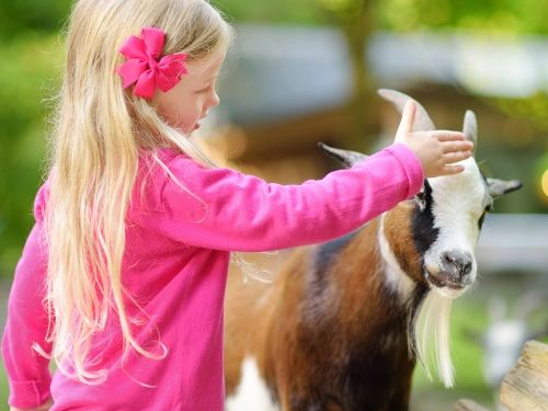 Healthy America Kids - Movement Makers helping kids get moving and get fit  MAHA Agenda help kids