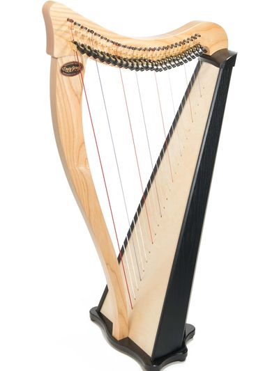 harp lessons harp rentals san diego north county harpist learn harp classes dusty strings ravenna
