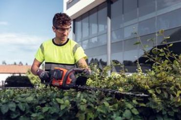 Man trimming hedges with an electric hedge trimmer.