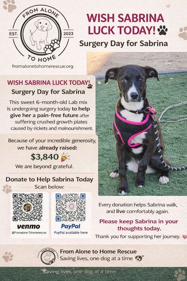 Sabrinas Journey 💖