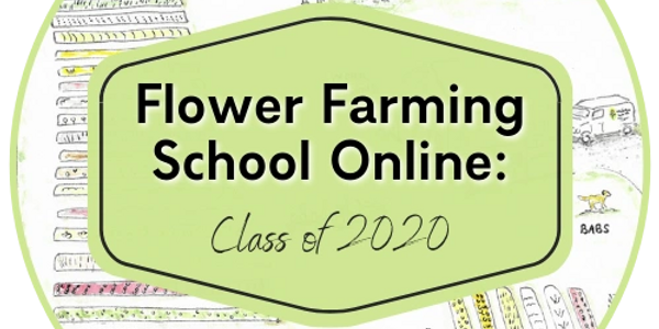 I completed a Flower Farming course from Lisa Mason Ziegler “one of the best in the industry”.