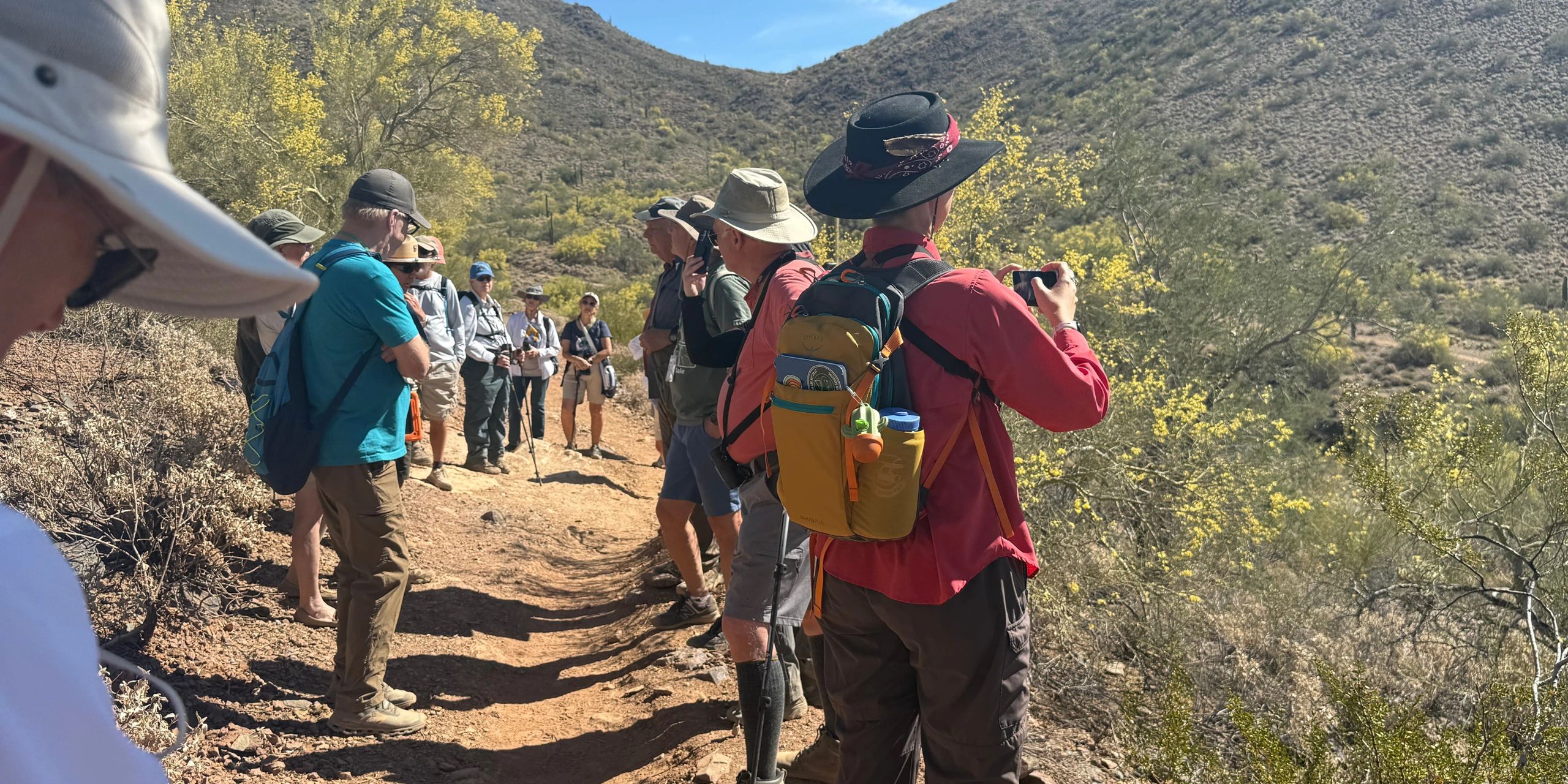 Maricopa Master Naturalists volunteer using the iNaturalist app to record data in the Sonoran Desert